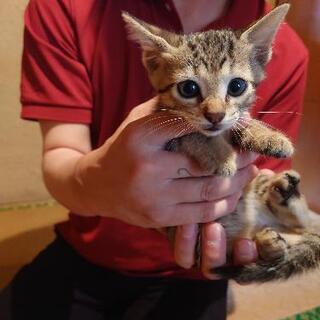7月10日生まれの男の子です