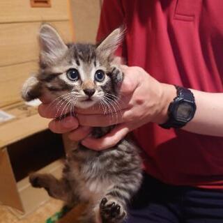 7月10日生まれの女のコです