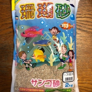サンゴの砂