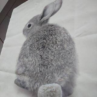 【お譲りする方決定済】うさちゃんのモノトーンクッションカバー【USED】の画像
