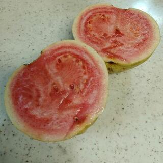 no.2  好評につき追加販売[グァバ☆]の画像