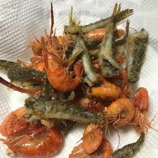 夜ガサガサしませんか？ − 茨城県