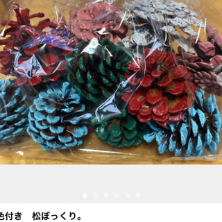 色付き松ぼっくり