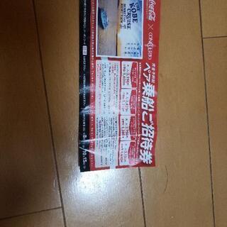 ペア船チケットの画像