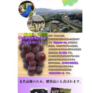 HP作成します − 東京都