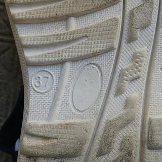 レディースサンダルの画像