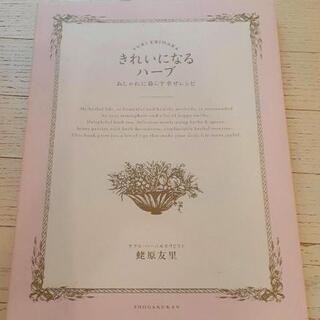 きれいになるハーブ おしゃれに暮らす幸せレシピ 蛯原友里