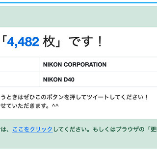 Nikon ニコン デジタル一眼レフ　D40の画像