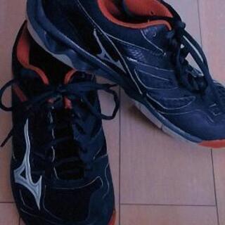 MIZUNO バレーボールシューズ 25.5cm