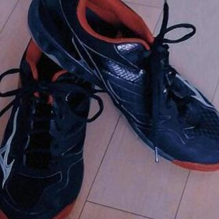 MIZUNO バレーボールシューズ 25.5cmの画像