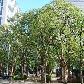 造園業 正社員、アルバイト急募！未経験でも大丈夫です！ の画像