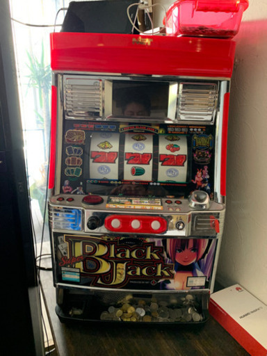 嫁ぎ先決まりました。ブラックジャック　付き