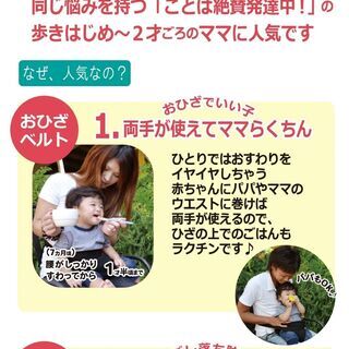 日本パフ（わんわんベビー） セーフティベルトの画像