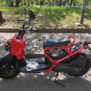 HONDA ZOOMER ホンダ ズーマー 赤