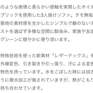 ダブルデイ　レザーテックス　ソファ　3人の画像