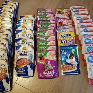 キャットフード　高齢猫用