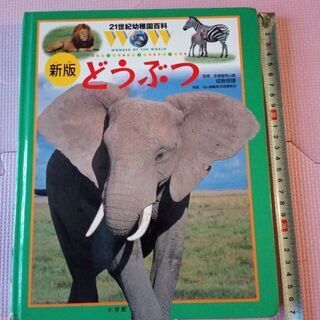 21世紀幼稚園百科　新版どうぶつ