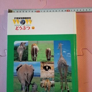 21世紀幼稚園百科　新版どうぶつの画像