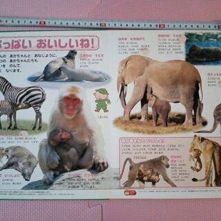 21世紀幼稚園百科　新版どうぶつの画像