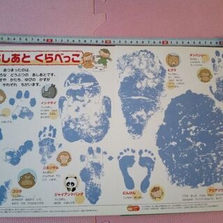 21世紀幼稚園百科　新版どうぶつの画像