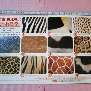 21世紀幼稚園百科　新版どうぶつの画像