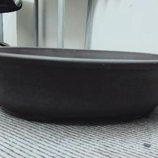 盆栽用大型鉢の画像
