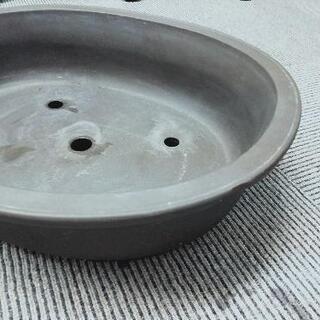 盆栽用大型鉢の画像