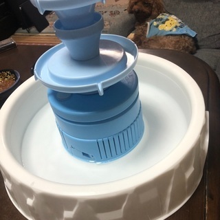 流しそうめん