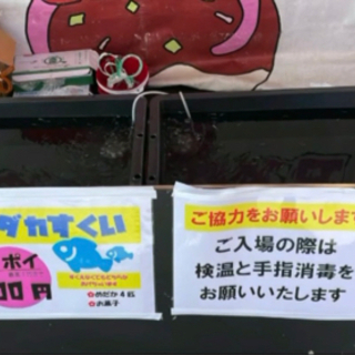第5回長崎めだかフェス　メンバー募集🌟 - その他