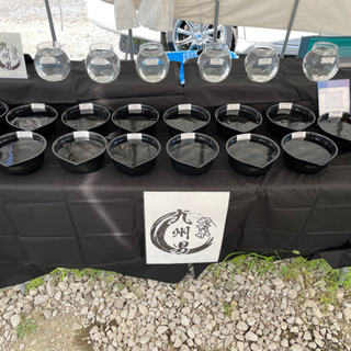 第5回長崎めだかフェス　メンバー募集🌟