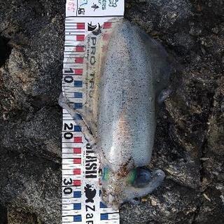釣り、スノーボード友達募集
