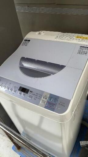 シャンプー\n5.5キロ\n2016年