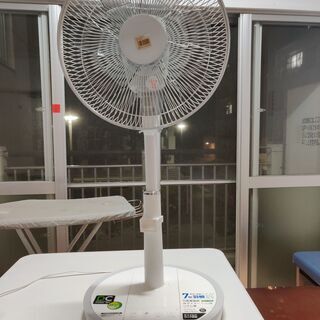 Fan