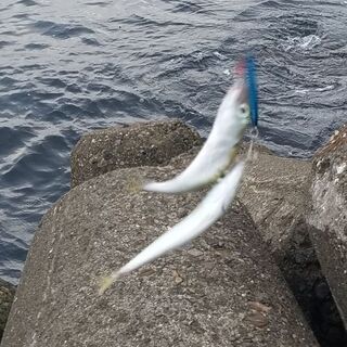 ゆる〜い釣りご一緒してください(*^^*)