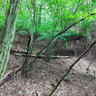 上級キャンパー向け　愛知県豊田市　三河湖近くの山林の一区画をお貸します！1日（１泊）2000円　 - 豊田市