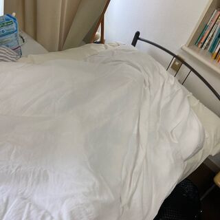ベット