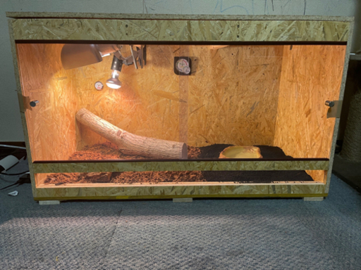 爬虫類　小動物　木製ゲージ