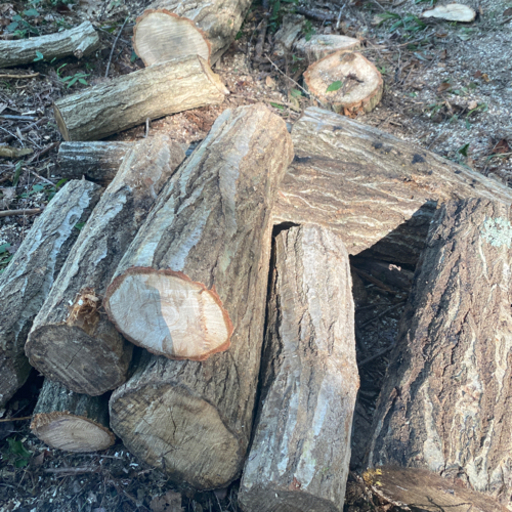 ナラ玉切り済み　マキ材