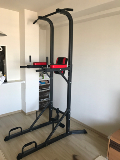SINTEX（シンテックス）ぶら下がり健康器　懸垂マシン