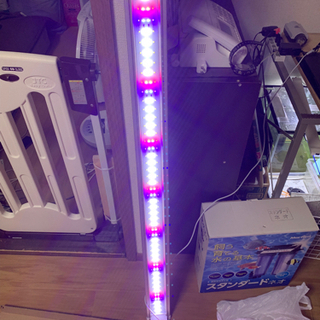 ニッソー1200LEDライトホワイトの画像