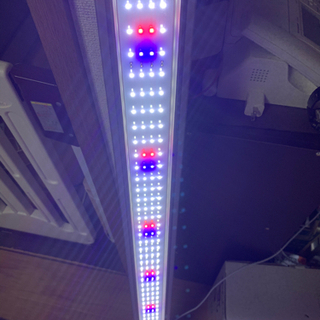 ニッソー1200LEDライトホワイトの画像