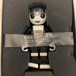 ROBOHONの画像