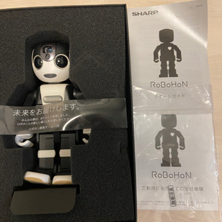 ROBOHONの画像