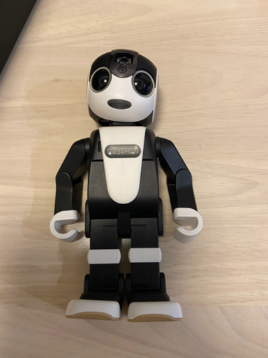 その他 ROBOHON