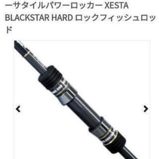 （二本）ロックフイッシュヒラメロッド