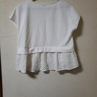 婦人服4の画像
