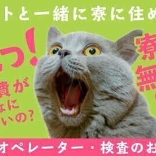 【週払い可】【20代～30代活躍中】機械オペレーター・検査のお仕...