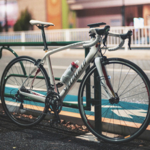 ロードバイク　SPECIALIZED ROUBAIX ELITE フルカーボン