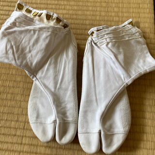 力王の24.5センチたび