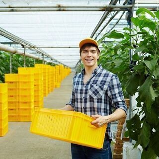 社員登用制度あり /  Full-time employee recruitment systemの画像